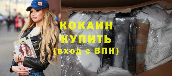 индика Наволоки