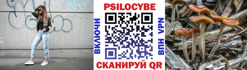 Галлюциногенные грибы Psilocybe  Новошахтинск 