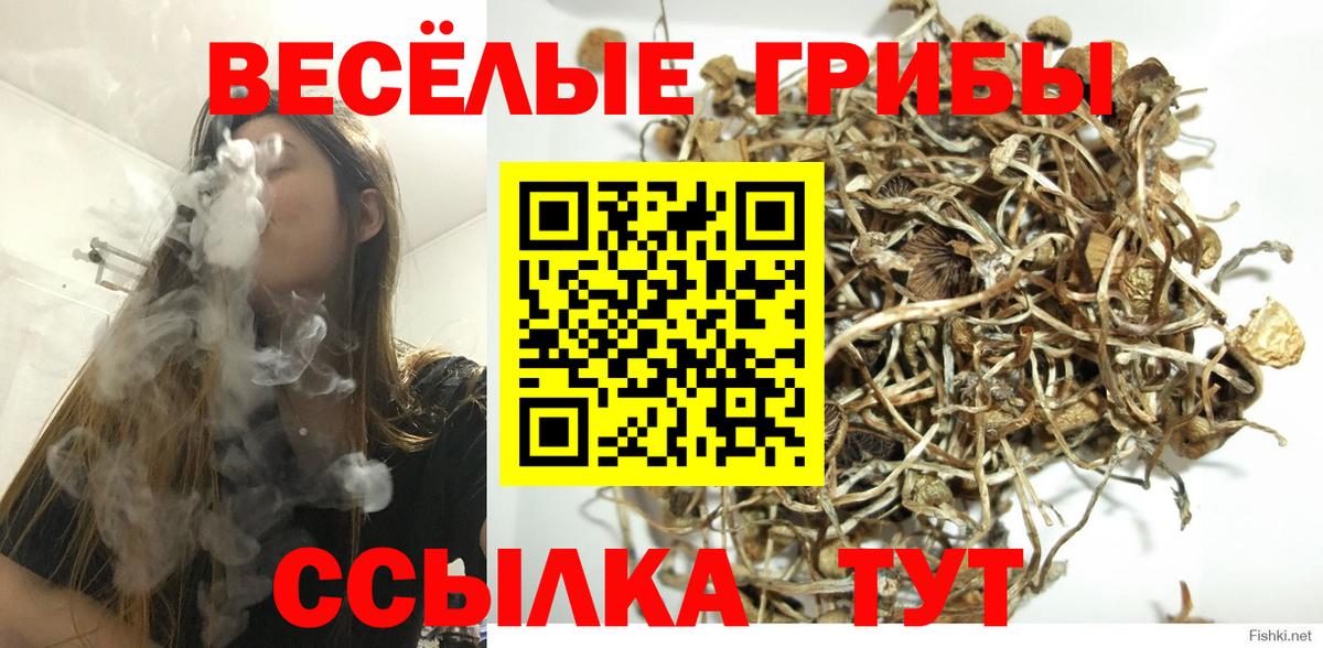 Новошахтинск  Галлюциногенные грибы мухоморы  Вход с VPN 