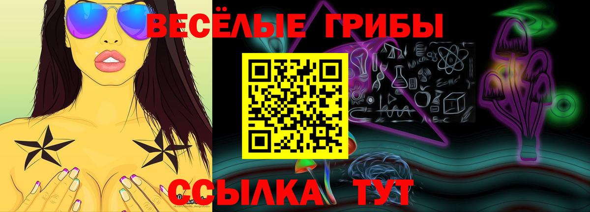 Галлюциногенные грибы MAGIC MUSHROOMS  что такое   Новошахтинск 