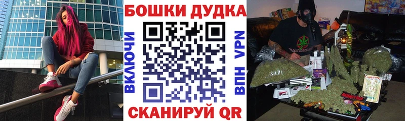 купить наркоту Новошахтинск Марихуана сатива